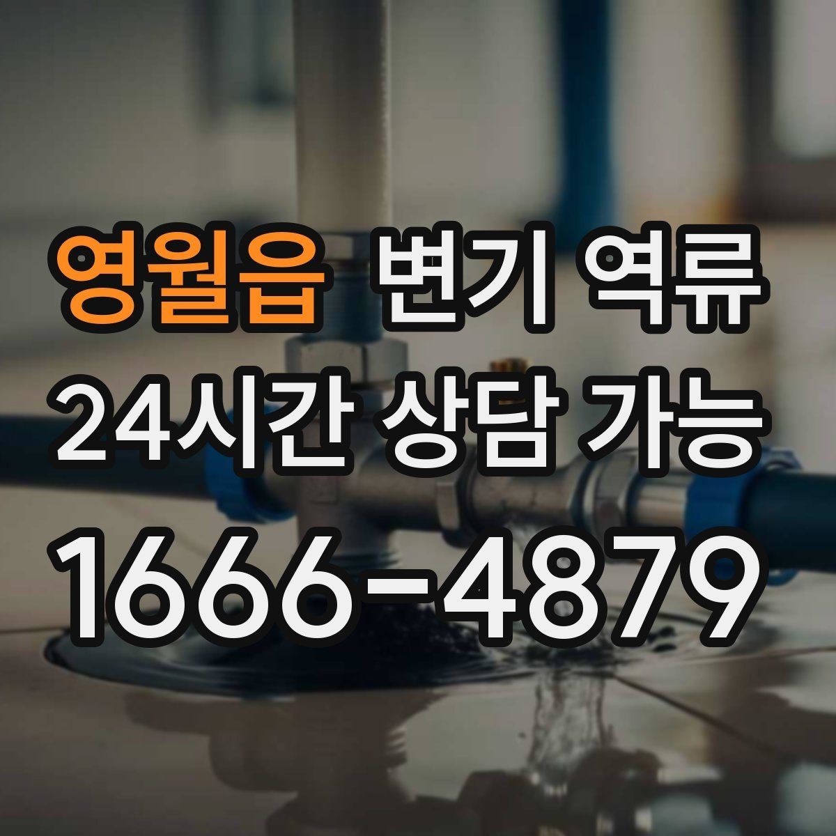 영월읍 변기 역류 늦게 처리하면 피해가 커지는 이유