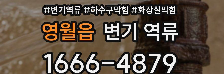 영월읍 변기 역류