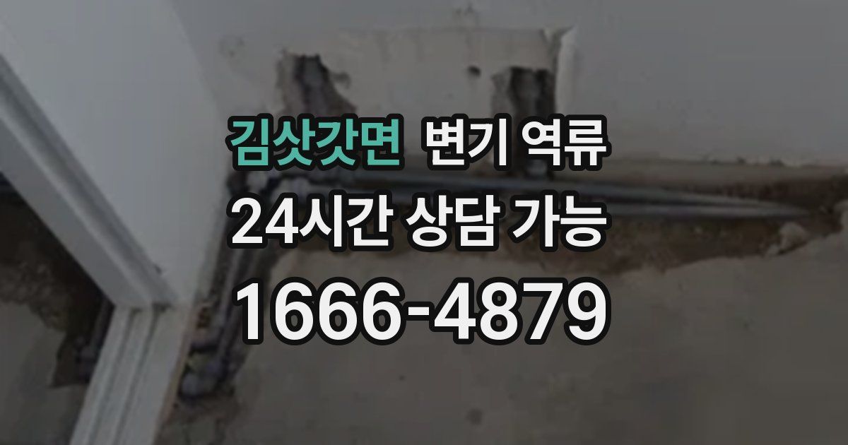 김삿갓면 변기 역류