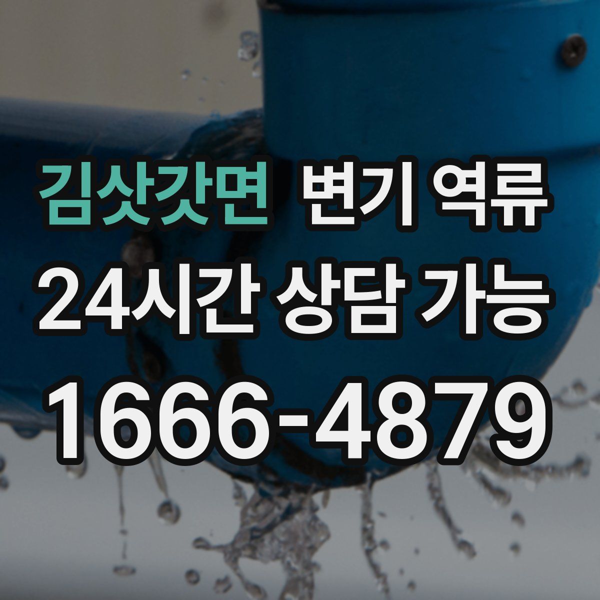 김삿갓면 변기 역류