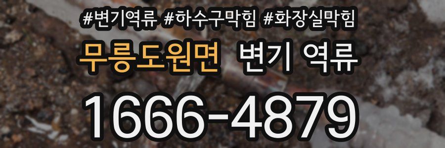 무릉도원면 변기 역류