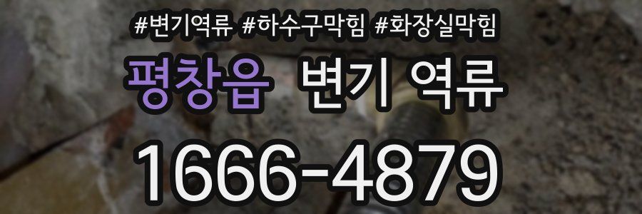 평창읍 변기 역류