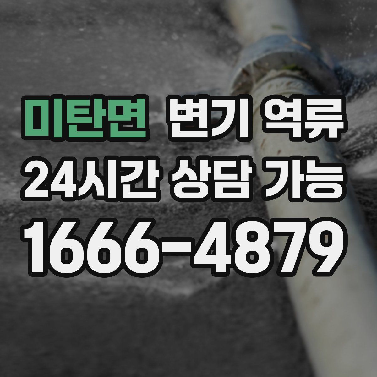 미탄면 변기 역류