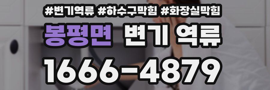 봉평면 변기 역류