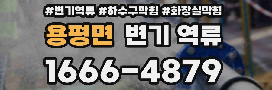 용평면 변기 역류