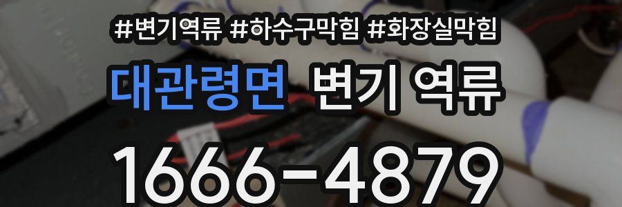 대관령면 변기 역류