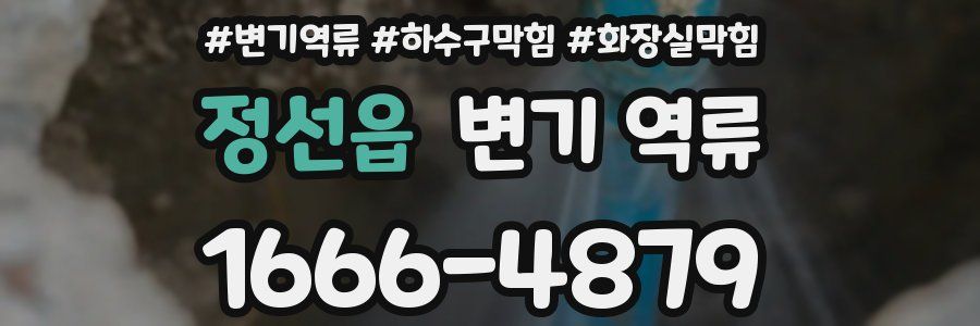 정선읍 변기 역류