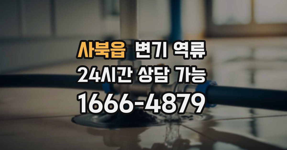 사북읍 변기 역류