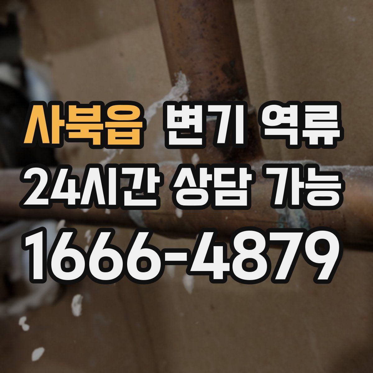 사북읍 변기 역류