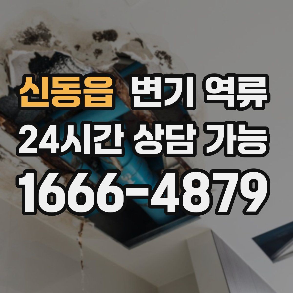 신동읍 변기 역류 오염수 처리와 환기가 중요한 이유