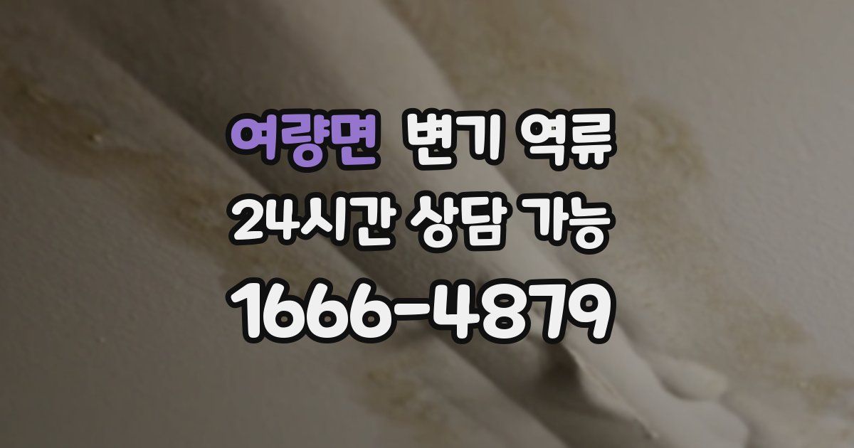 여량면 변기 역류