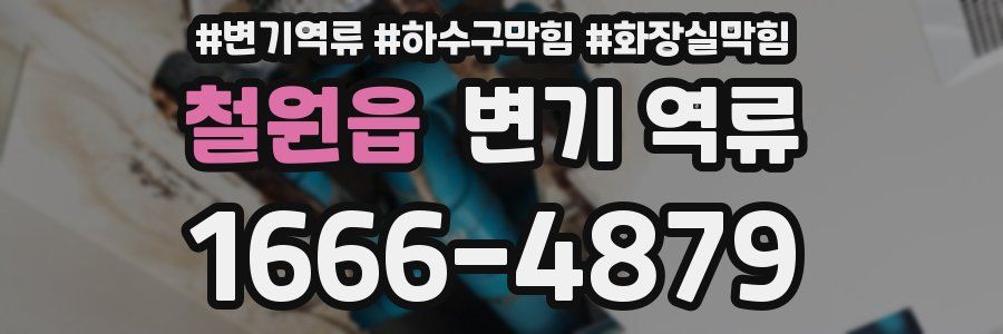 철원읍 변기 역류