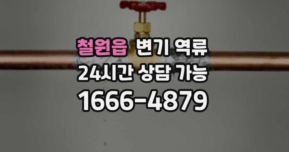 철원읍 변기 역류