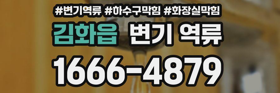 김화읍 변기 역류