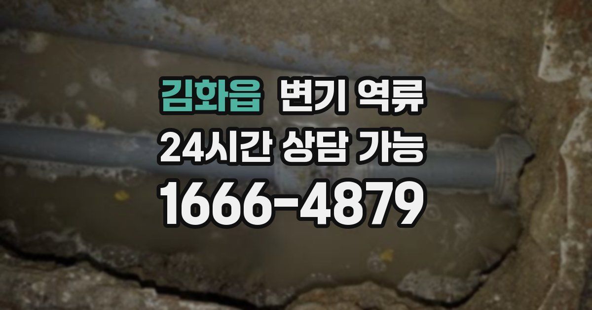 김화읍 변기 역류