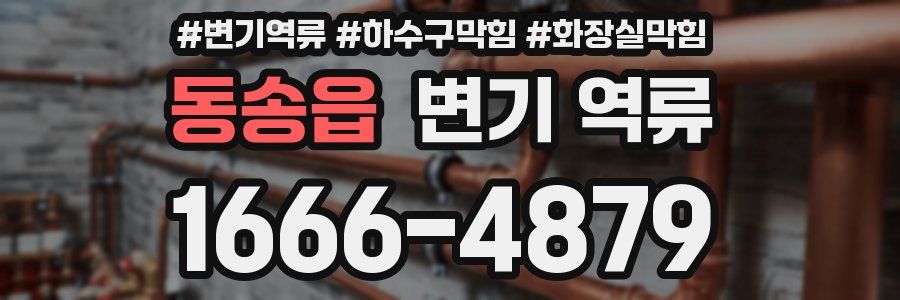 동송읍 변기 역류