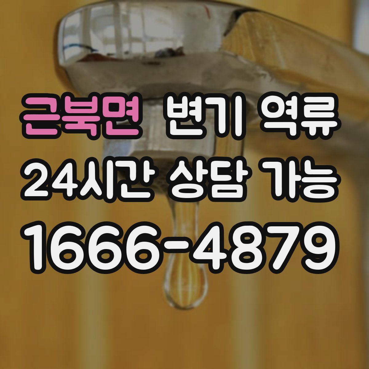 근북면 변기 역류