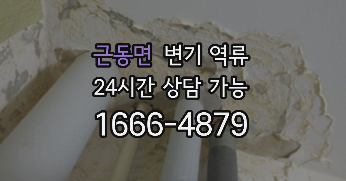 근동면 변기 역류