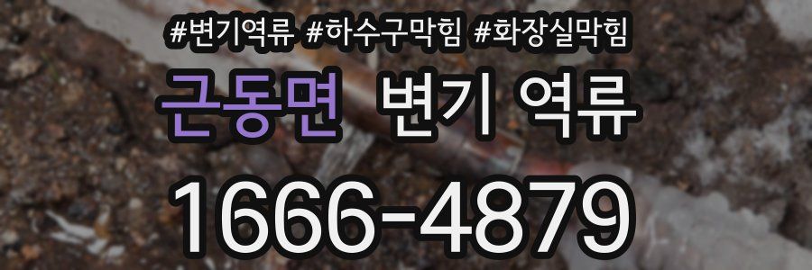 근동면 변기 역류