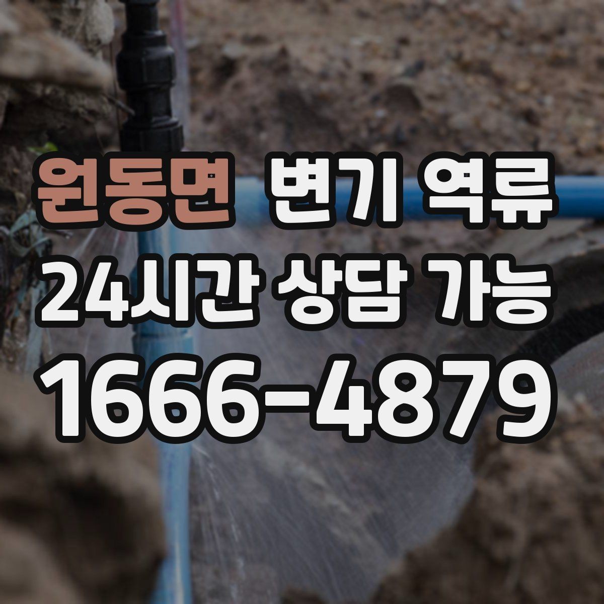 원동면 변기 역류 여러 배수구가 느려지는 순서로 원인 추정하기