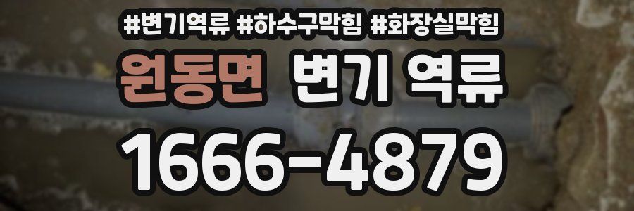 원동면 변기 역류