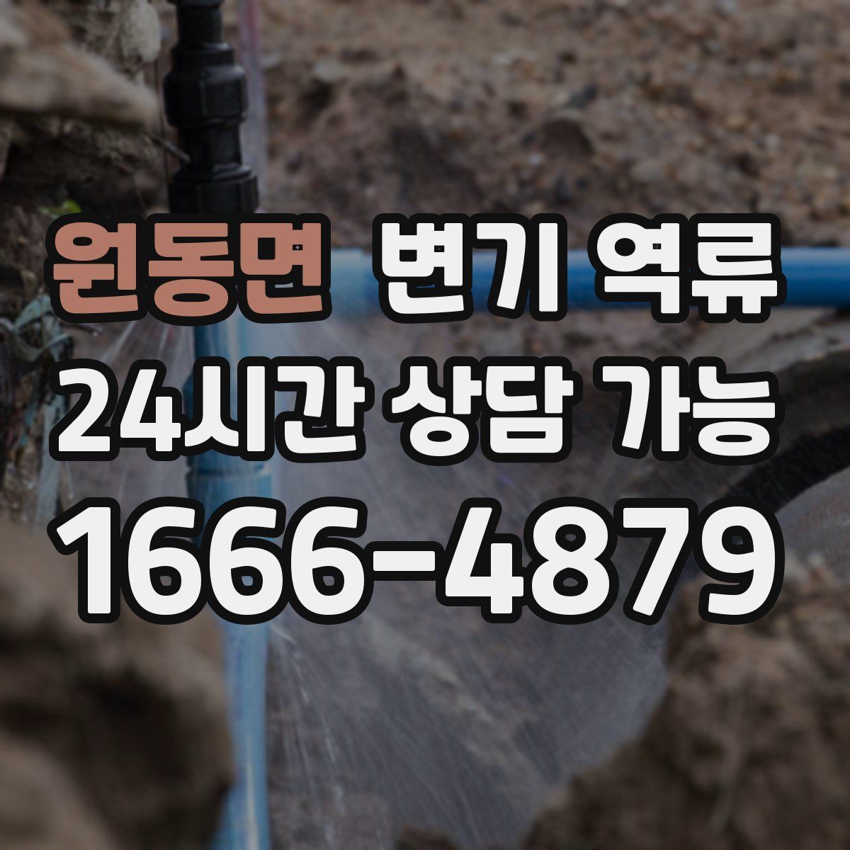 원동면 변기 역류