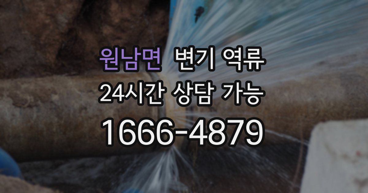 원남면 변기 역류