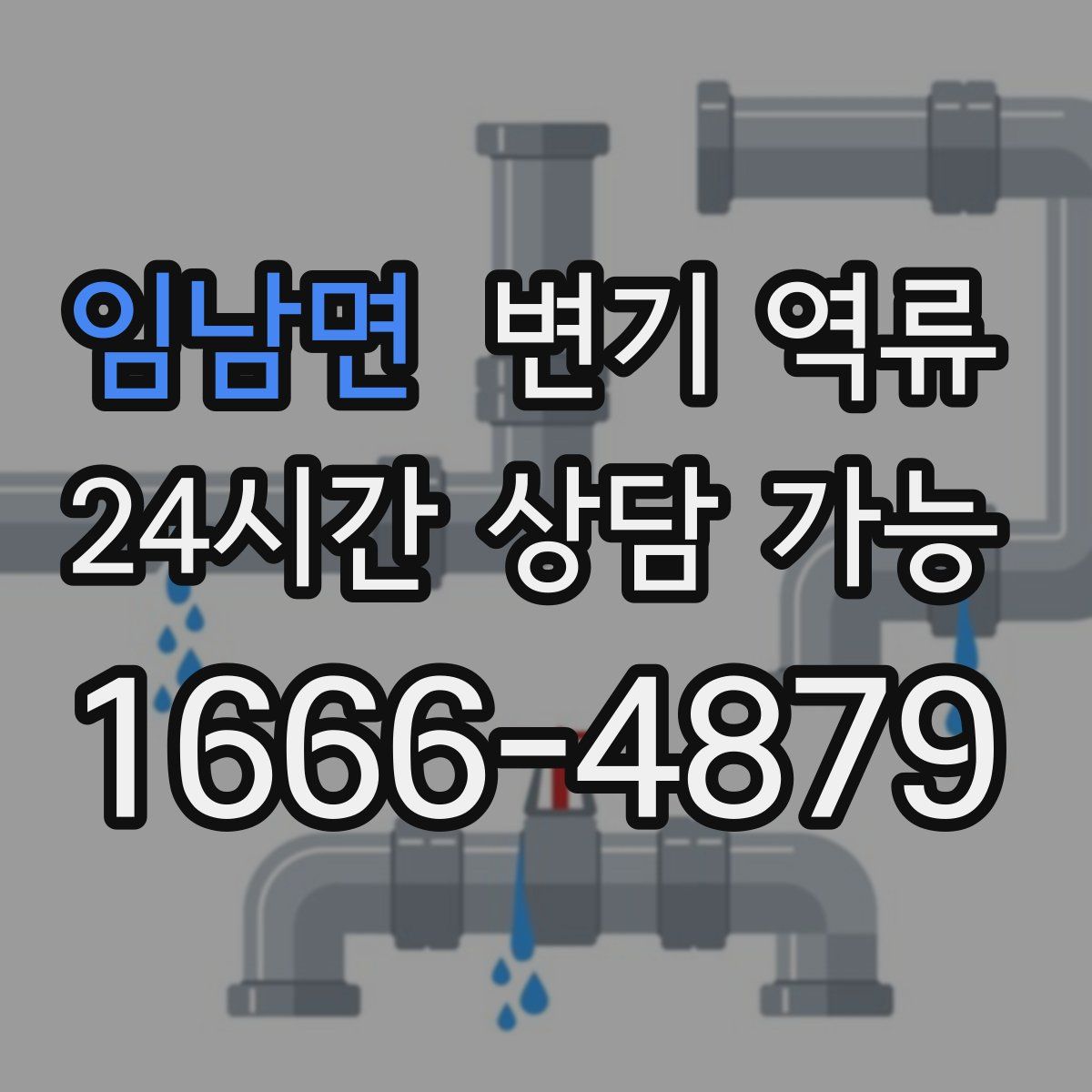 임남면 변기 역류