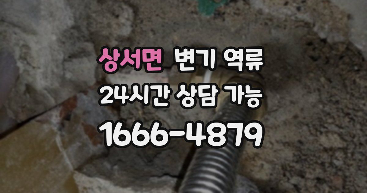 상서면 변기 역류