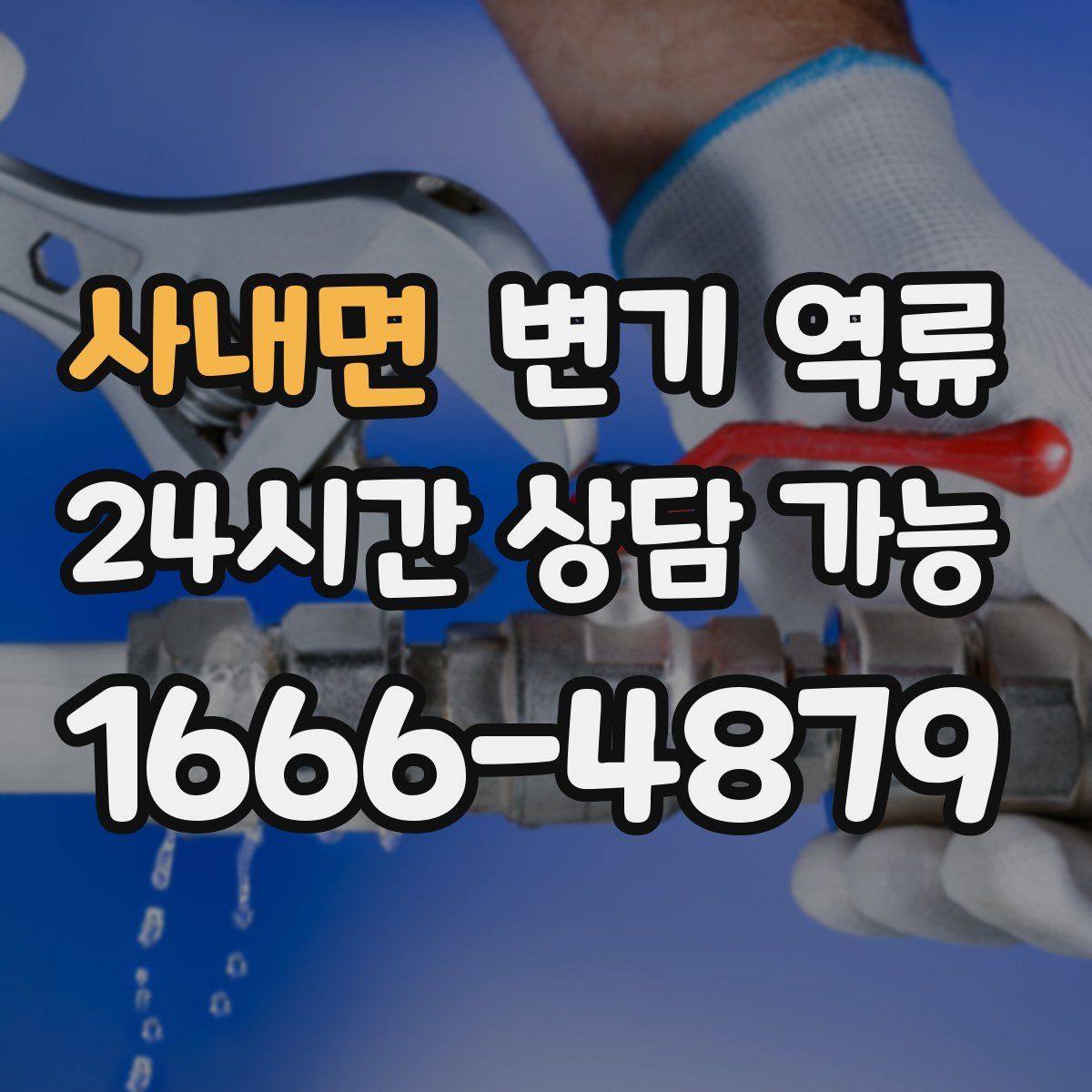 사내면 변기 역류