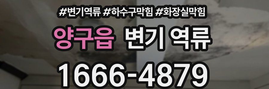 양구읍 변기 역류