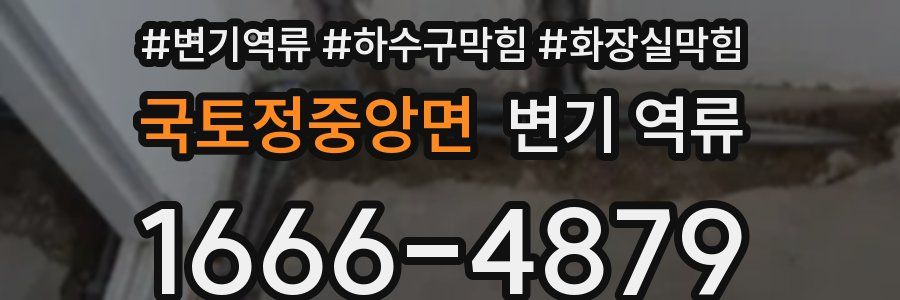 국토정중앙면 변기 역류