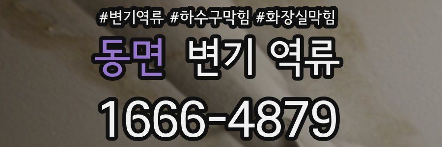 동면 변기 역류