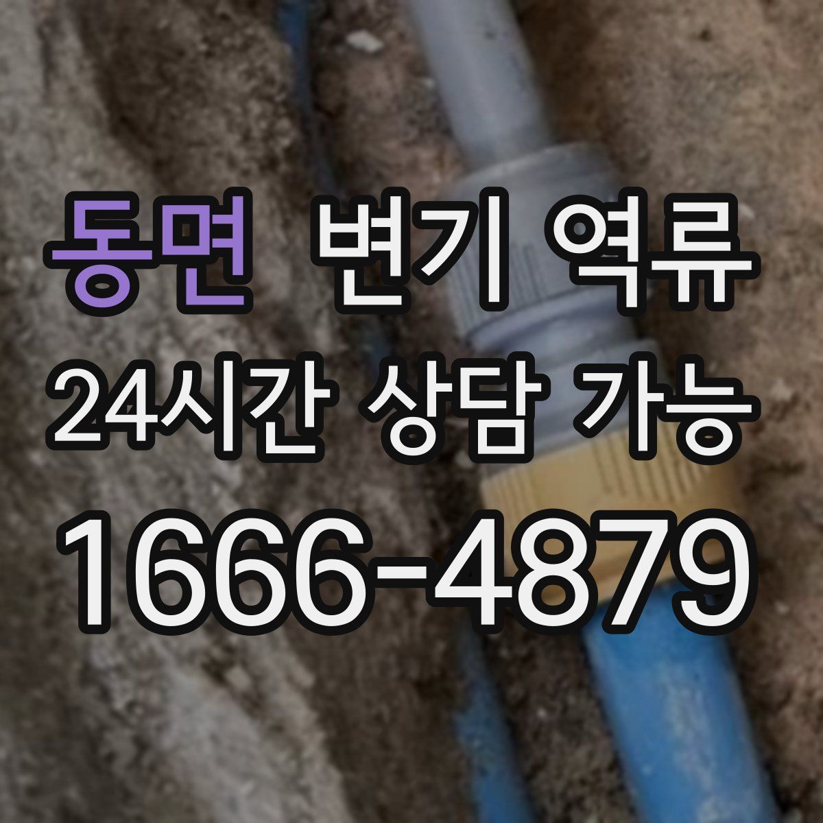 동면 변기 역류