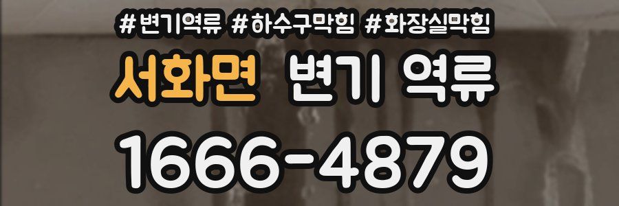 서화면 변기 역류