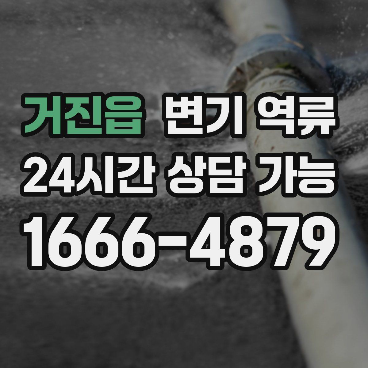 거진읍 변기 역류 오염수 역류로 위생 문제가 커지는 이유