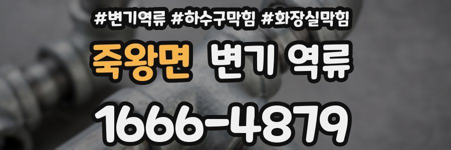 죽왕면 변기 역류