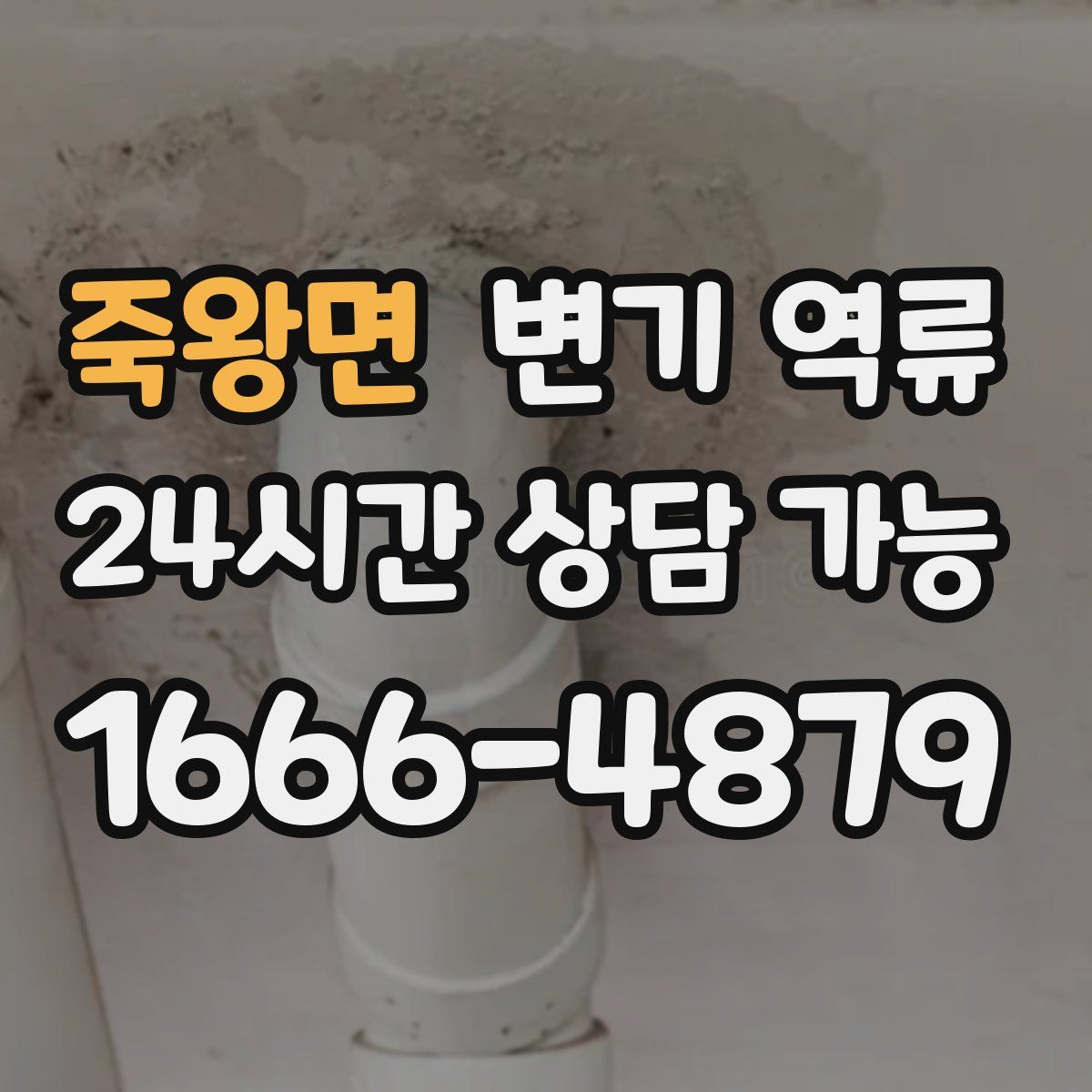 죽왕면 변기 역류