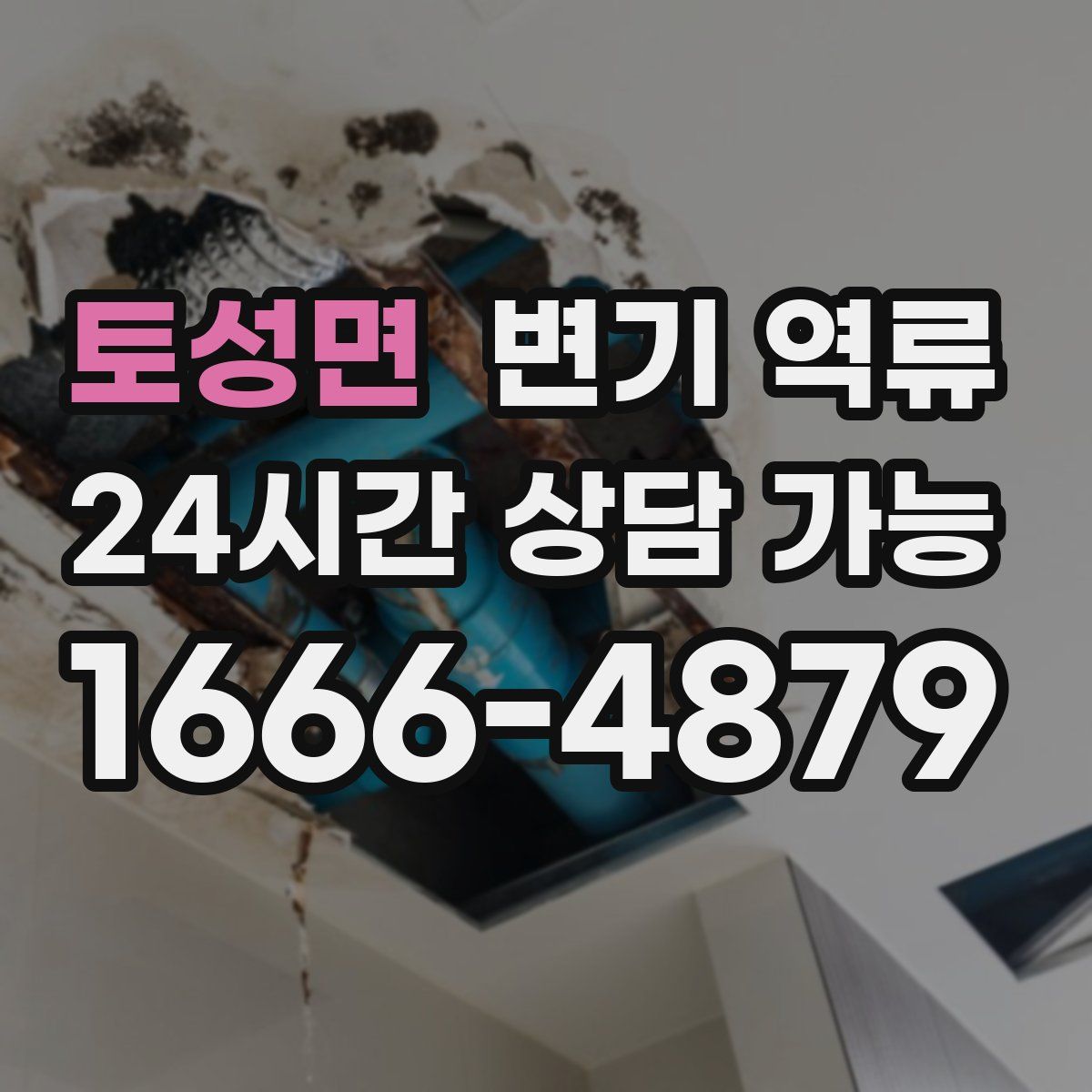 토성면 변기 역류