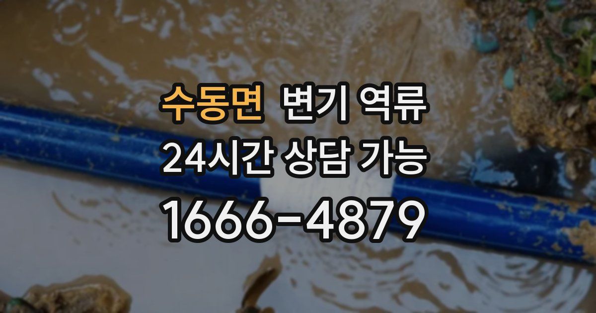 수동면 변기 역류