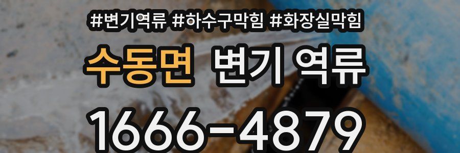 수동면 변기 역류