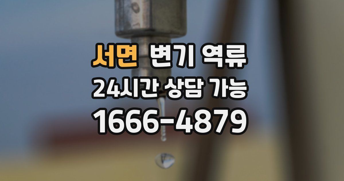 서면 변기 역류