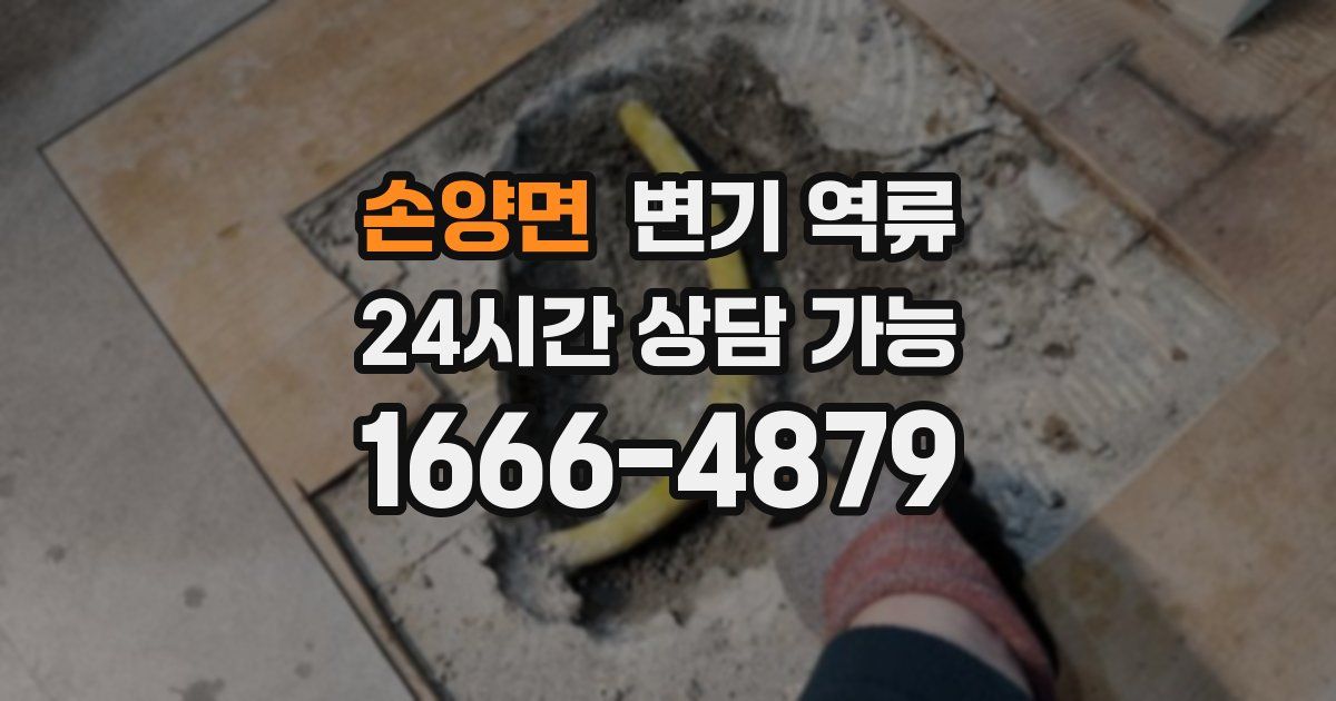 손양면 변기 역류