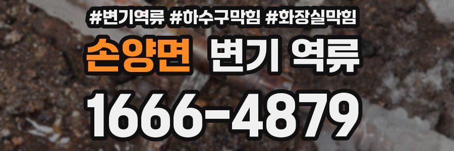 손양면 변기 역류