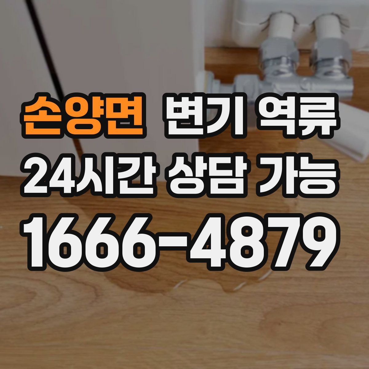 손양면 변기 역류