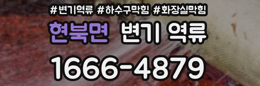 현북면 변기 역류