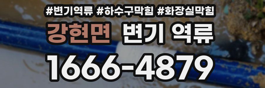 강현면 변기 역류