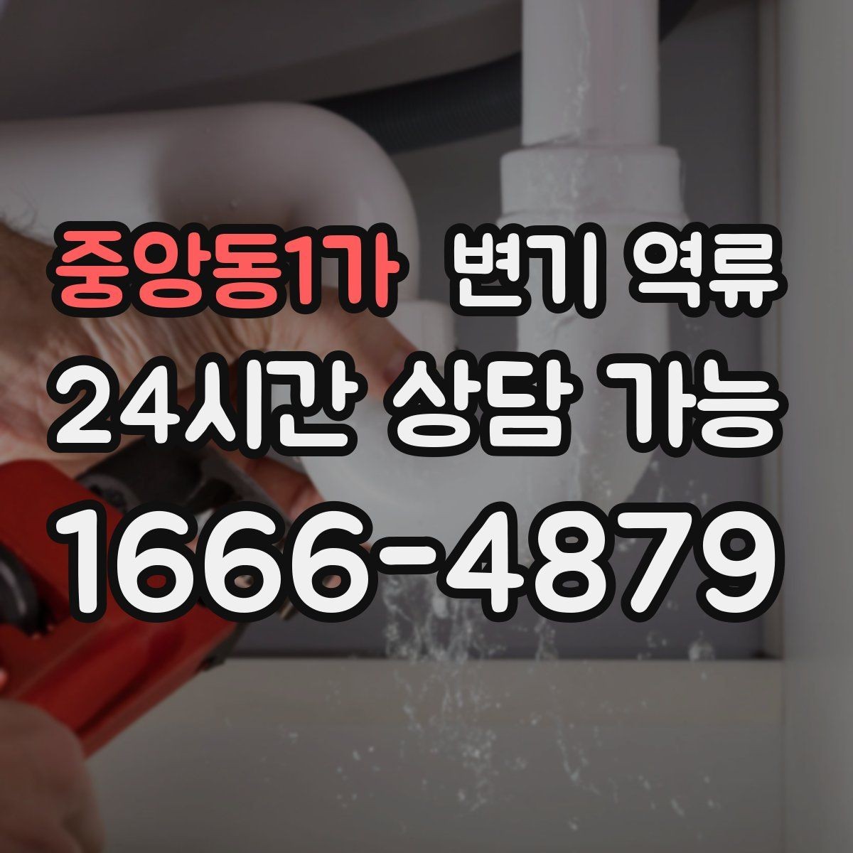 중앙동1가 변기 역류 음식물 찌꺼기가 들어가면 생기는 문제
