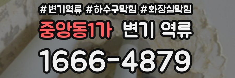 중앙동1가 변기 역류