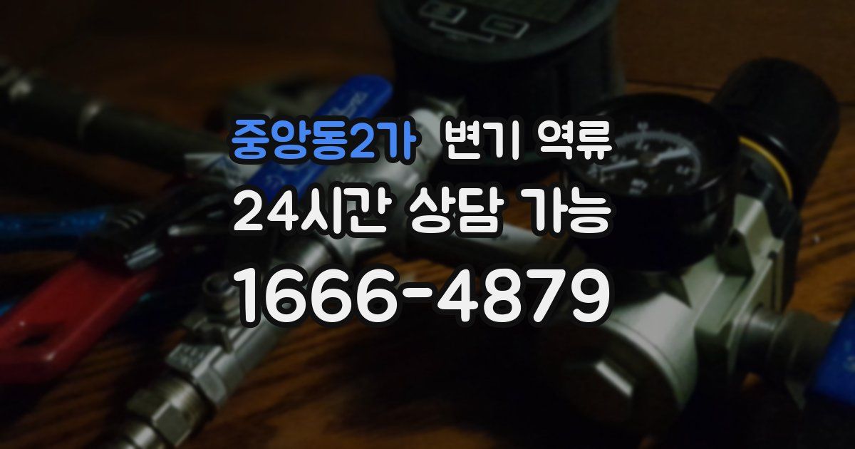 중앙동2가 변기 역류